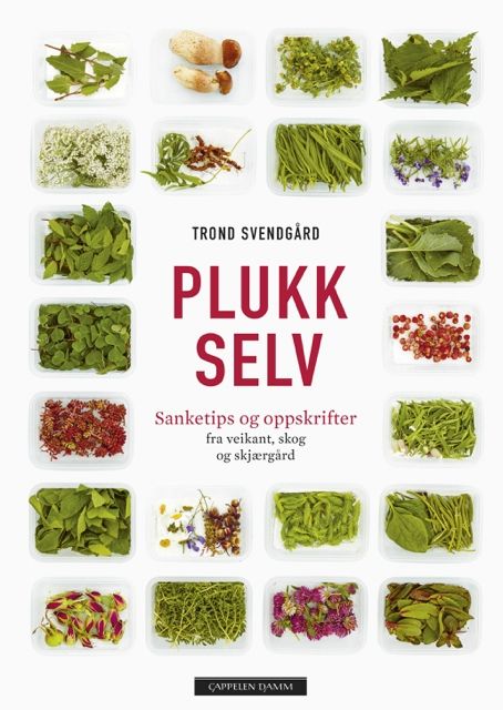 Bokomtale: Plukk selv 