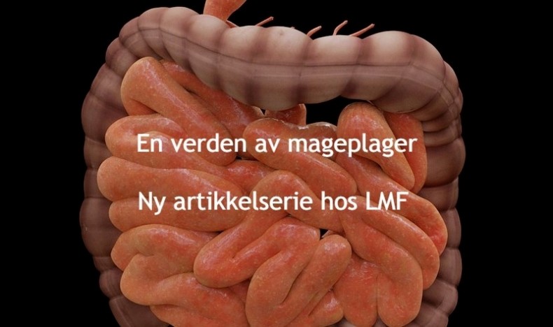 Introduksjon: En verden av mageplager