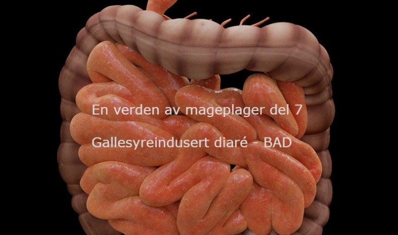 En verden av mageplager del 7